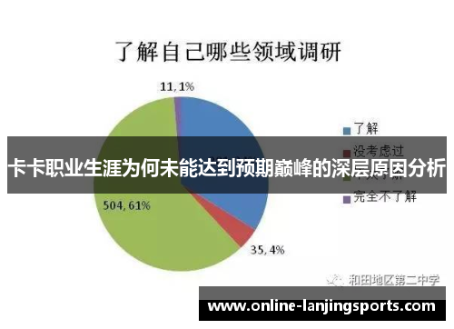 卡卡职业生涯为何未能达到预期巅峰的深层原因分析
