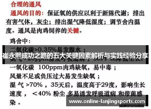 崔永熙成功之路的五大关键因素解析与实践经验分享