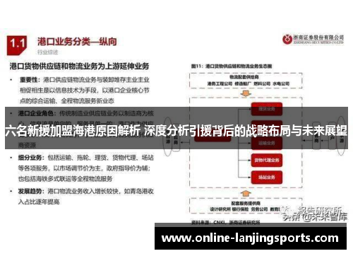 六名新援加盟海港原因解析 深度分析引援背后的战略布局与未来展望